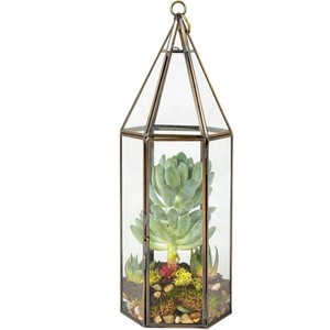 D'Eco Glass Geometric Plant Terrarium (5x5x14) - Indoor Tabletop Bronze Tall Hexagon Planter - Succulents, Air Plants, Moss - Home Garden Office Decor - 1 of 3
