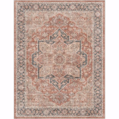 Apollo Red and Gray Oriental Chenille Area Rug