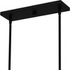 Quoizel Lighting Syrah 5 - Light Pendant in  Matte Black - 3 of 4