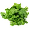 Fresh Cilantro (Coriander) Leaves - 2.5-3.5oz - Rani Brand Authentic Indian Products - image 3 of 4