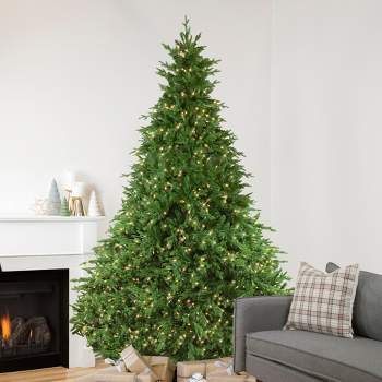 Northlight Real Touch™️ Pre-Lit Full Minnesota Balsam Fir Artificial Christmas Tree - 9' - Warm White LED