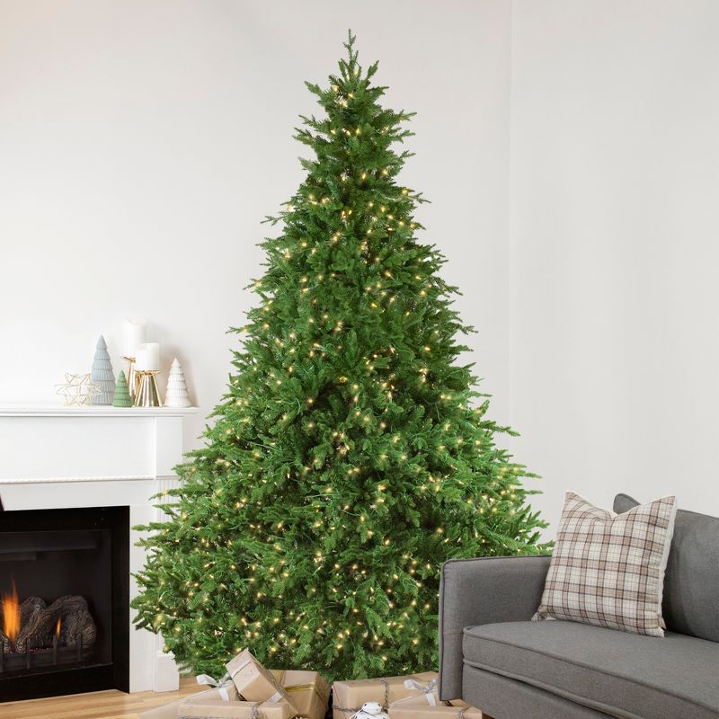 Northlight Real Touch™️ Pre-Lit Full Minnesota Balsam Fir Artificial Christmas Tree - 9' - Warm White LED, 1 of 8