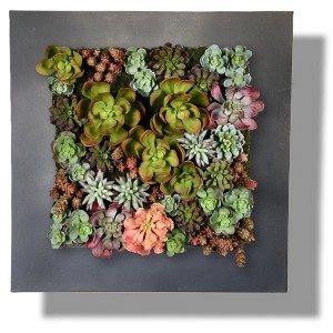 Modern Home Living Wall Galvanized Steel/Zinc Succulent Planter - 1 of 4