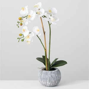 Sullivans Artificial 24.5" Potted Orchid - 1 of 4