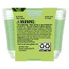 Glade 3 Wick Candle - Fresh Confidence - 6.8oz - 3 of 4