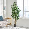 Okak 71IN Indoor Artificial Laurel Tree with Glossy Leaves and Slim Trunk, Pre-Potted Faux Trees with Pot, Plants Decor for Home, Office, Green - 2 of 4