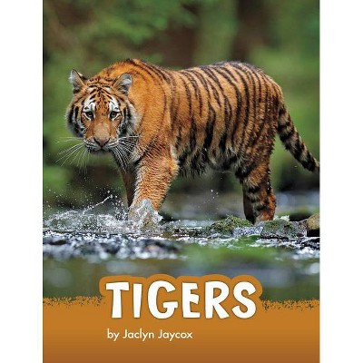 Tigers - (Animals) by  Jaclyn Jaycox (Hardcover)