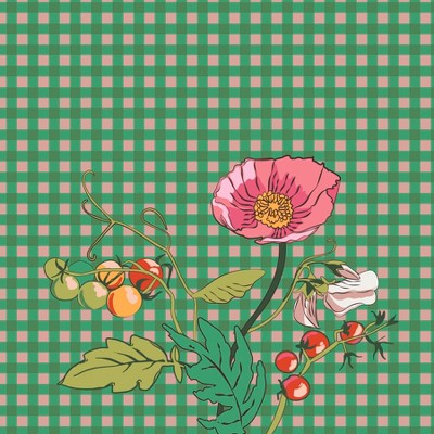 tomato vines kelly green