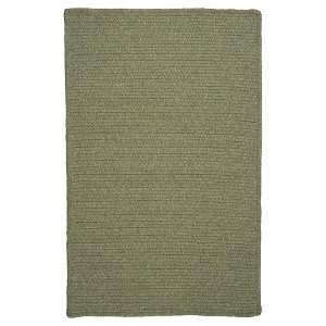 Westminster Wool Blend Braided Area Rug - Palm - (5