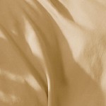 camel gold