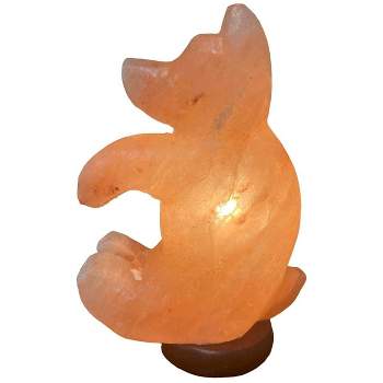 Bear Himalayan Salt Novelty Table Lamp Pink - Q&A Himalayan Salt