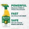 Spruce Weed and Grass Killer Trigger Spray 24oz - 2 of 4