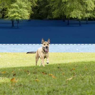PetSafe Basic Adjustable In-Ground Fence with Waterproof Collar