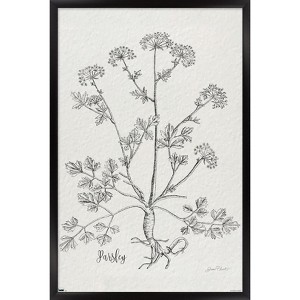 Trends International Jean Plout - Botanical Studies on Paper Parsley Framed Wall Poster Prints - 1 of 4