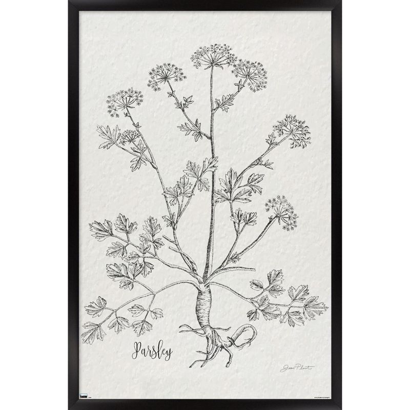 Trends International Jean Plout - Botanical Studies on Paper Parsley Framed Wall Poster Prints, 1 of 7