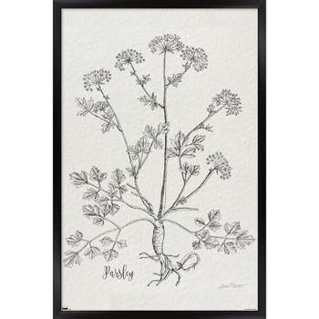 Trends International Jean Plout - Botanical Studies on Paper Parsley Framed Wall Poster Prints