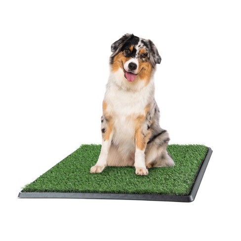 Pet potty best sale