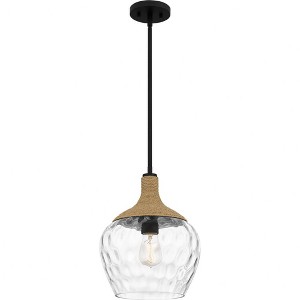 Quoizel Lighting Royer 1 - Light Pendant in  Matte Black - 1 of 4