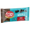 Enjoy Life Dark Chocolate Dairy Free Vegan Baking Morsels - 9oz - 2 of 4