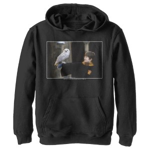Boy's Harry Potter Wizard and Owl Pull Over Hoodie - 1 of 4
