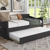 Twin Alisa Upholstered Daybed with Trundle - HOMES: Inside + Out - 3 of 4