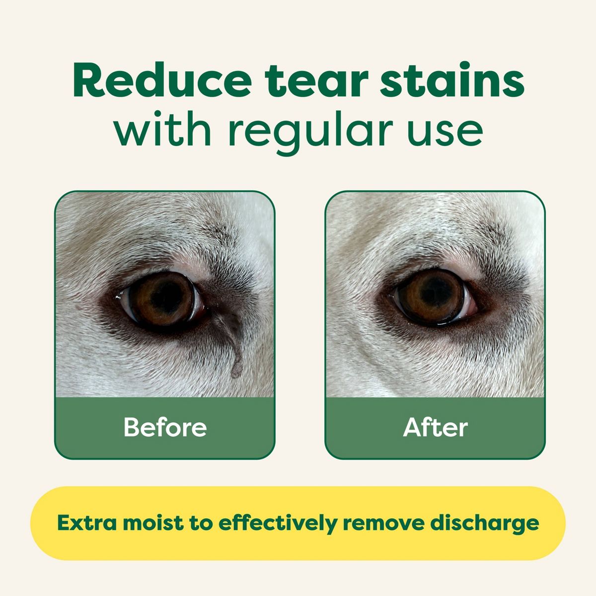 Earth Rated 60ct Unscented Eye Dog and Cat Wipes - thumbnail 4