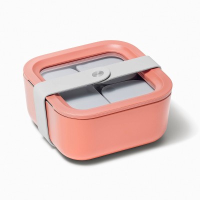 Perracotta 4.4 Cup Glass Lunch Box with Lid