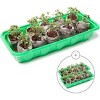 Window Garden Mini Greenhouse Seed Starter Kit - 3 Pack - 4 of 4