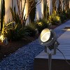 C Cattleya Outdoor LED Landscape Spotlight with Ground Stakes for Garden Pathway and Courtyard - 4 of 4