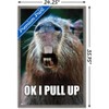 Trends International Capybara - Pull Up Framed Wall Poster Prints - 3 of 4