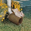 Design Toscano Hog Wild Pouncing Pig Gutter Guardian Downspout Statue - 2 of 4