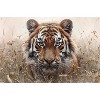 Trends International Reinders: Animals - Hunting Tiger In Grasses Unframed Wall Poster Prints - 4 of 4