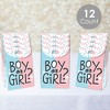 Big Dot Of Happiness Baby Gender Reveal - Team Boy Or Girl Gift Favor Bags  - Party Goodie Boxes - Set Of 12 : Target