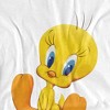 Women's Looney Tunes Cute Tweety Loose T-Shirt - 2 of 4