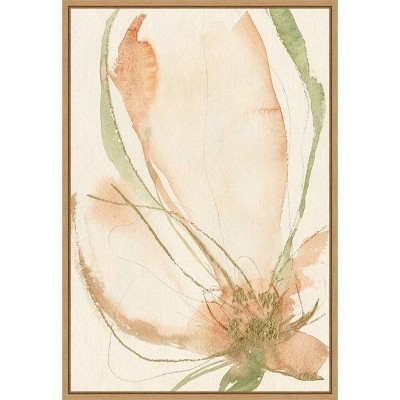16" x 23" Petal Sketches I by Jennifer Goldberger Framed Wall Canvas - Amanti Art