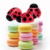 Big Dot of Happiness Happy Little Ladybug - DIY Shaped Baby Shower or Birthday Party Cut-Outs - 24 Count - 2 of 4