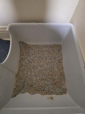 Guest review image 3 of 3, zoom in