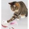 Tabby Tumbler™  Treat Dispensing Cat Toy