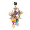 Prevue Pet Products 62376 Bodacious Bites Explosion Bird Toy, Multi-Color, Large - 2 of 2