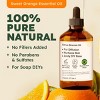KUKKA Sweet Orange Essential Oil - 4 Fl Oz 100% Pure Natural Orange Oil Citrus Scent - 2 of 4