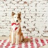 carol & frank Pet Quilt 50" x 44" Dot Tomato - 2 of 4