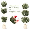 Acekool 5FT Artificial Olive Tree with Planter, 3-Tier Spherical Faux Olive Tree for Indoor Home and Office Decor, Available 1 or 2 Pcs - 2 of 4