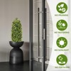 COWLOWN 3FT Artificial Boxwood Topiary Trees (Set of 2) - 36in UV Resistant Faux Greenery, Realistic Evergreen Bushes for Outdoor/Indoor - 3 of 4