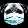 Boy's Design By Humans Masked Pug By clingcling T-Shirt - 2 of 4