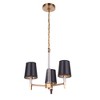 Craftmade Lighting Tarryn 3 - Light Chandelier in  Satin Brass - 4 of 4