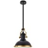 Elegant Lighting Eamon Collection Pendant D13 H13.3 Lt:1 Oil rubbed bronze Finish - 2 of 4