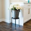 Trivet Iron Plant Stand Graphite Powder Coat Finish - Achla Designs - image 3 of 4