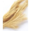 The Lakeside Collection Natural Hays and Grasses Home Accents - Natural Set of 2 Picks 2 Pieces - 2 of 4