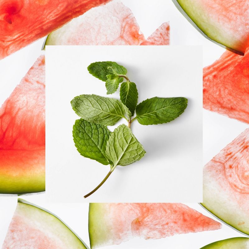 Raw Sugar Watermelon and Fresh Mint Moisture Loving Body Wash - 40 fl oz, 5 of 17
