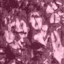 deep claret tie dye